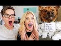 Finally Catching Them!  (Reacting to Funny Pets!)