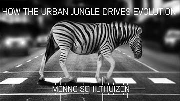How the urban jungle drives evolution with Menno Schilthuizen