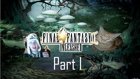 Final Fantasy IX UNLEASHED - Part The First - KITTY CAM!