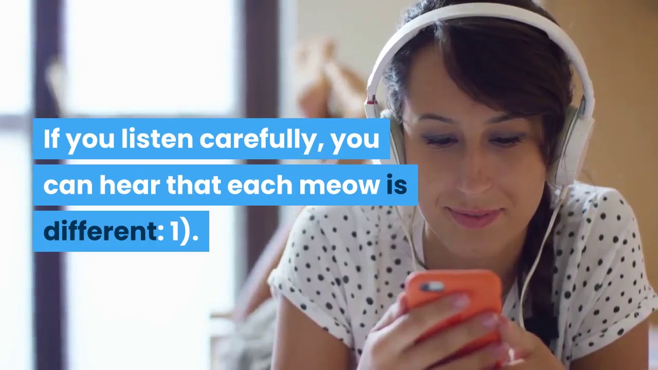 CATS ! AMAZING FACTS YOU DİDN'T KNOW ABOUT CATS. YouTube