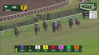 Vidéo de la course PMU PRIX I. MUNICIPALIDAD CALERA DE TANGO