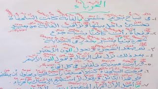 شرح درس الحرباء للصف الثاني الابتدائي  لغه عربيه الفصل الدراسي الاول المنهج الجديد