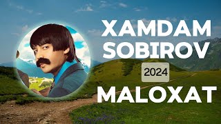 Xamdam Sobirov - Maloxat (Lyrics) | QOʻSHIQ MATNI • QOʻSHIQ SOʻZLARI • LYRIC CLIP