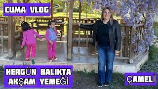 CUMA VLOG| HERGÜN BALIKTA AKŞAM YEMEĞİ |CUMARTESİ DÜĞÜN YEMEĞİ |MISIR EKMEĞİ |İKİZLER BAHÇEDE OYNADI