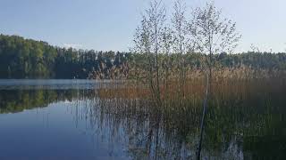 Эстония Рыбалка на озере Панкюла Paunküla 