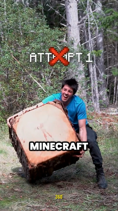 Minecraft House IRL