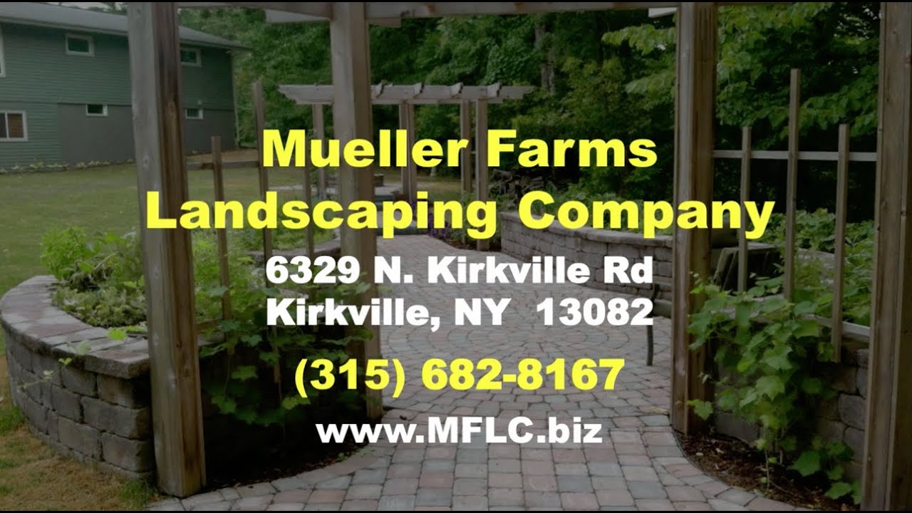 Mueller Farms Landscaping Company -- Reviews -- Syracuse NY Mueller Farms Landscaping Company -- Reviews -- Syracuse NY Landscapers Reviews - Mueller Farms Landscaping Company -- Reviews -- Syracuse NY