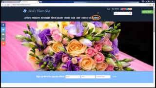 Website Menubar Setup Tutorial for AllProWebTools