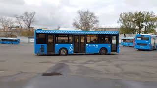 Autobusy. :D Rosja