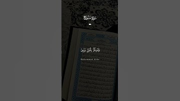 سورة نوح بصوت يريح القلب 🕊️