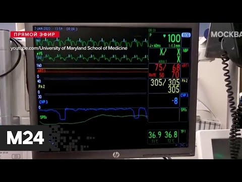 Трансплантолог оценил успешную пересадку сердца свиньи человеку в США - Москва 24