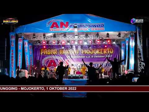 Damar Opo Lilin - ALL Artis New Pallapa - Live Lebaksono Pungging Mojokerto @newpallapaofficial
