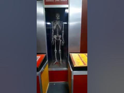 PGSC Health Gallery- Identify your bones 
