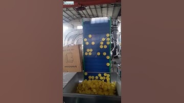 Automatic cap elevator type sorting feeding machine plastic big diameter cap sorter machine
