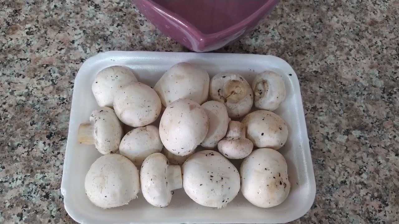 كيفية تنظيف الفطر comment nettoyer les champignons frais 🍄🍄🍄