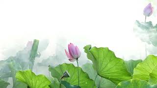 Blossom River Stillness — Relaxing Chinese Ambient Meditation Music