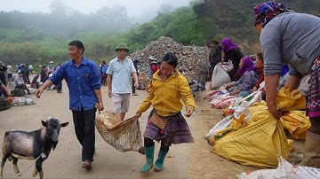 FULL CHỢ BIÊN GIỚI CỐC LY – DÊ NÚI, LỢN CẮP NÁCH, TRÂU RỪNG, ẨM THỰC & NÔNG SẢN QUÝ HIẾM