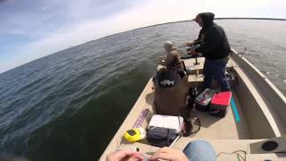 Kent Narrows Blue Fish and Stripper fishing. 9-23-2014