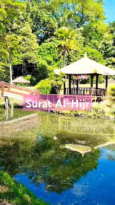 Surat Al-Hijr #merdu #story #storywa #quran #murottal #bacaanquran #religion #quotes #dailymurottal