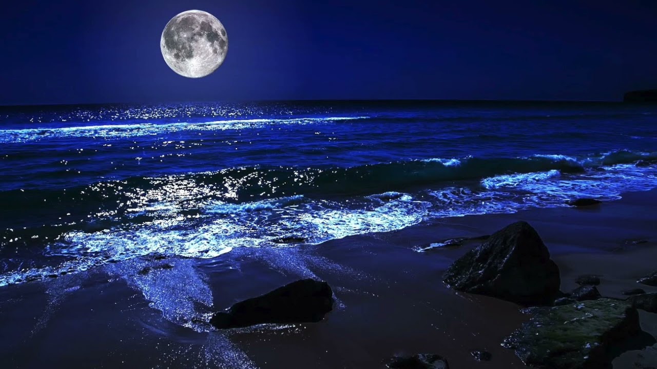 Watch MOONWAVES (DEMO) on YouTube Watch MOONWAVES (DEMO) on YouTube