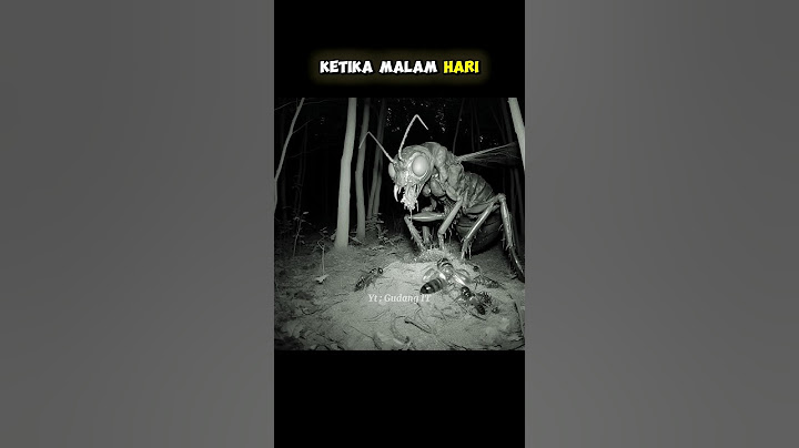HEWAN YANG TERLIHAT SERAM KETIKA MALAM HARI #gudangit #shorts