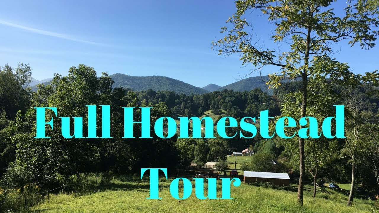 homestead tours