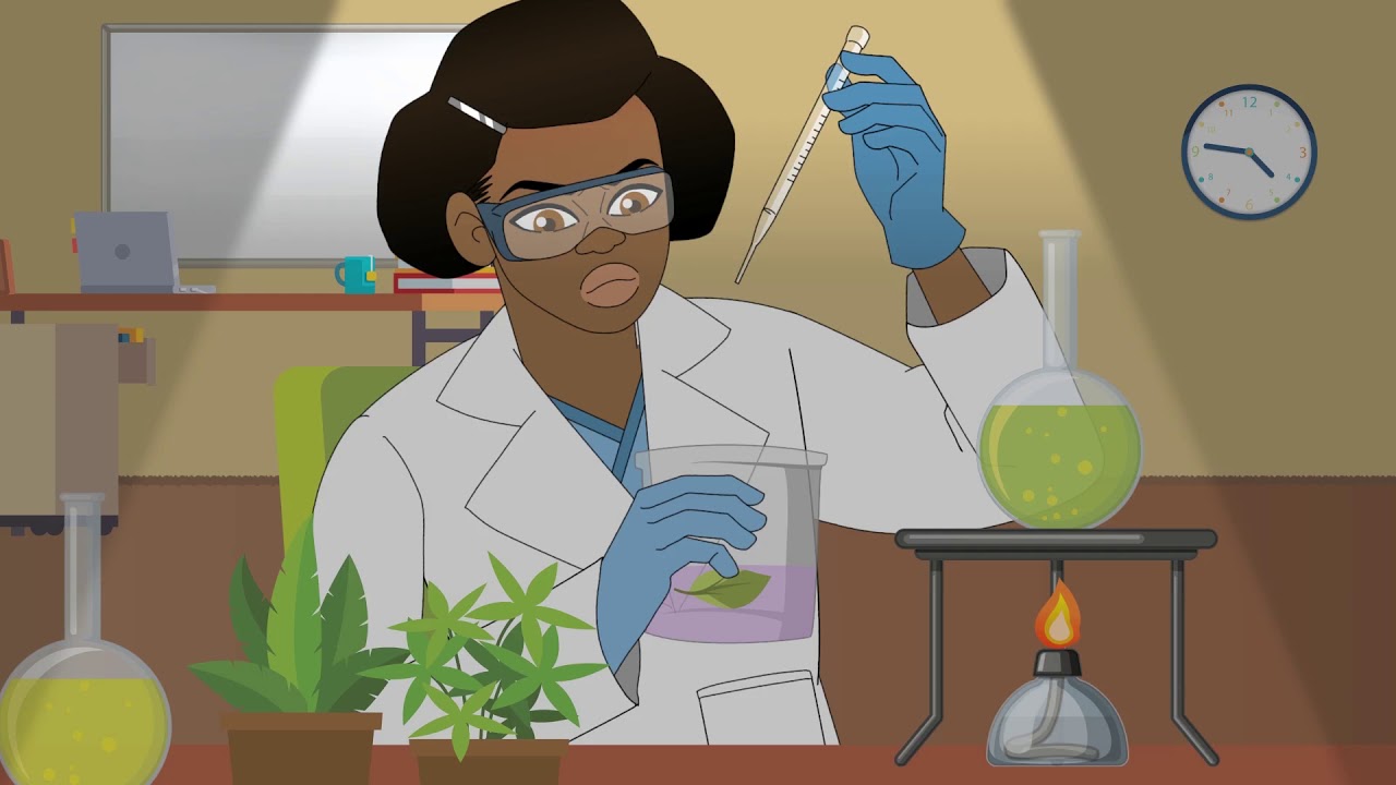 Saint Lucia and Climate Change Adaptation (English)