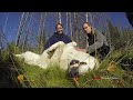 Wolf Day at the Alaska Zoo