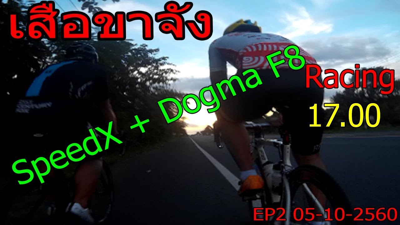 เสือขาจัง : Speed X VS Dogma F8 แต่เรา JAVA สายหมก 05-10-2560 EP.2 ...