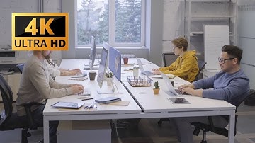 Office | 4K | No Copyright | Stock Video