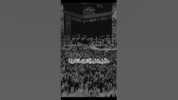 #صلوا_على_النبي #سورة_النصر #قرآن #قران_كريم #لايك #اكسبلور