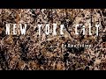 New York City Sounds Good