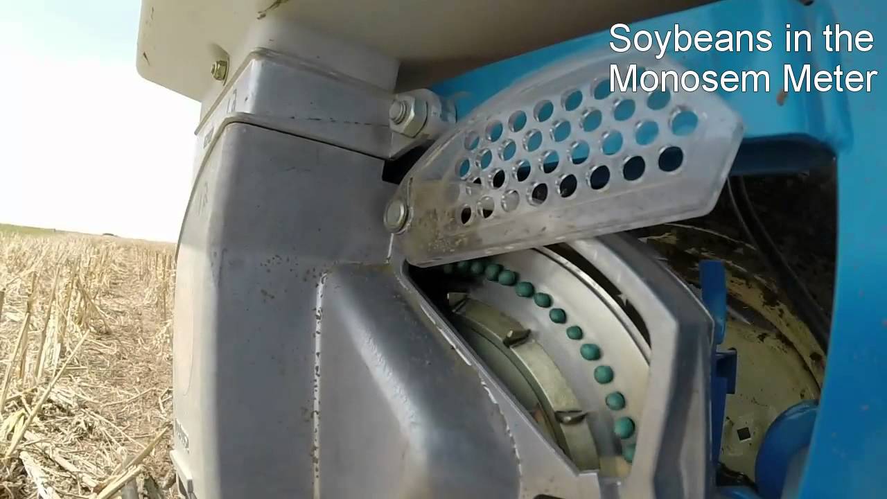 Soybeans in Monosem Meter
