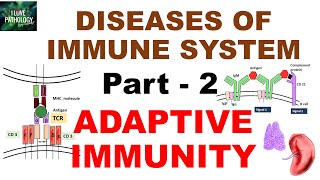 Diseases of immune system|  Part 2 |  Adaptive Immunity | T &amp; B -Cell Receptors