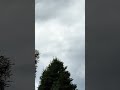 Early afternoon helicopter #shorts #ytshorts #viralshort #aviation #helicopter 4/30/26