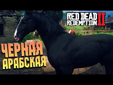 Наскреб на САМУЮ ДОРОГУЮ лошадь в игре, Спасение Джека➤RED DEAD REDEMPTION 2 #30