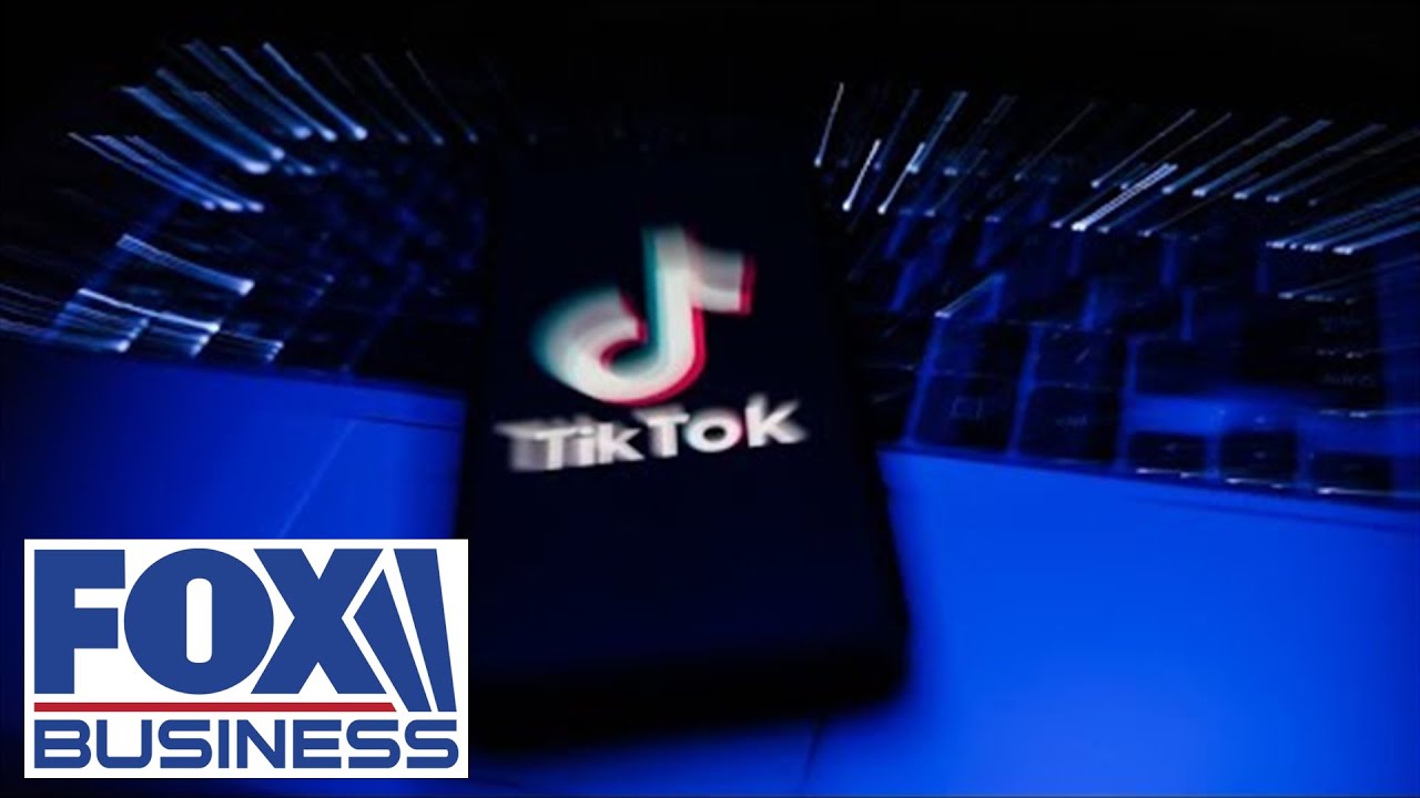 Why TikTok wants a ‘psychographic analysis’ of your kids