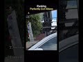 Perfect Cut Videos certain to make you laugh | $67 if u dont laugh 🥱 #shorts #funny