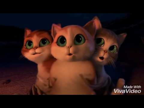  Film  kucing  lucu dan  mengemeskan kartun  YouTube