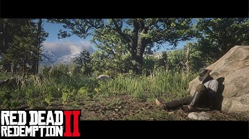 RDR2 Ambience - Horseshoe Overlook