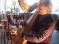 Tutoriel de harpe david watkins  technique daccords