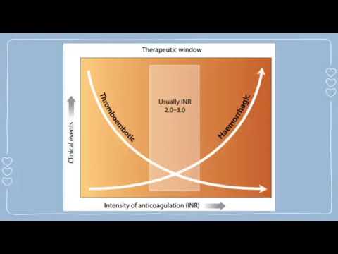 Prothrombin Time with INR