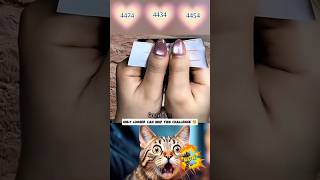 Test Your Brain with This Ultimate Number Quiz 😱#shorts #bombastic #cat
