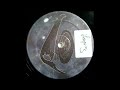 Raster - Hardwired