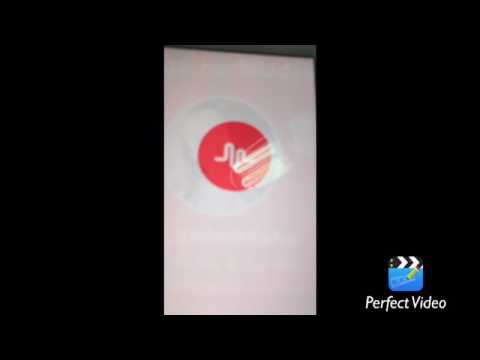 2000 ფანი musical.ly ში