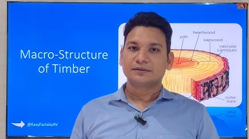 Structure of Timber in Detail – Pith,Heartwood, Sapwood,Annual Rings | Civil Engineering | Akash Sir