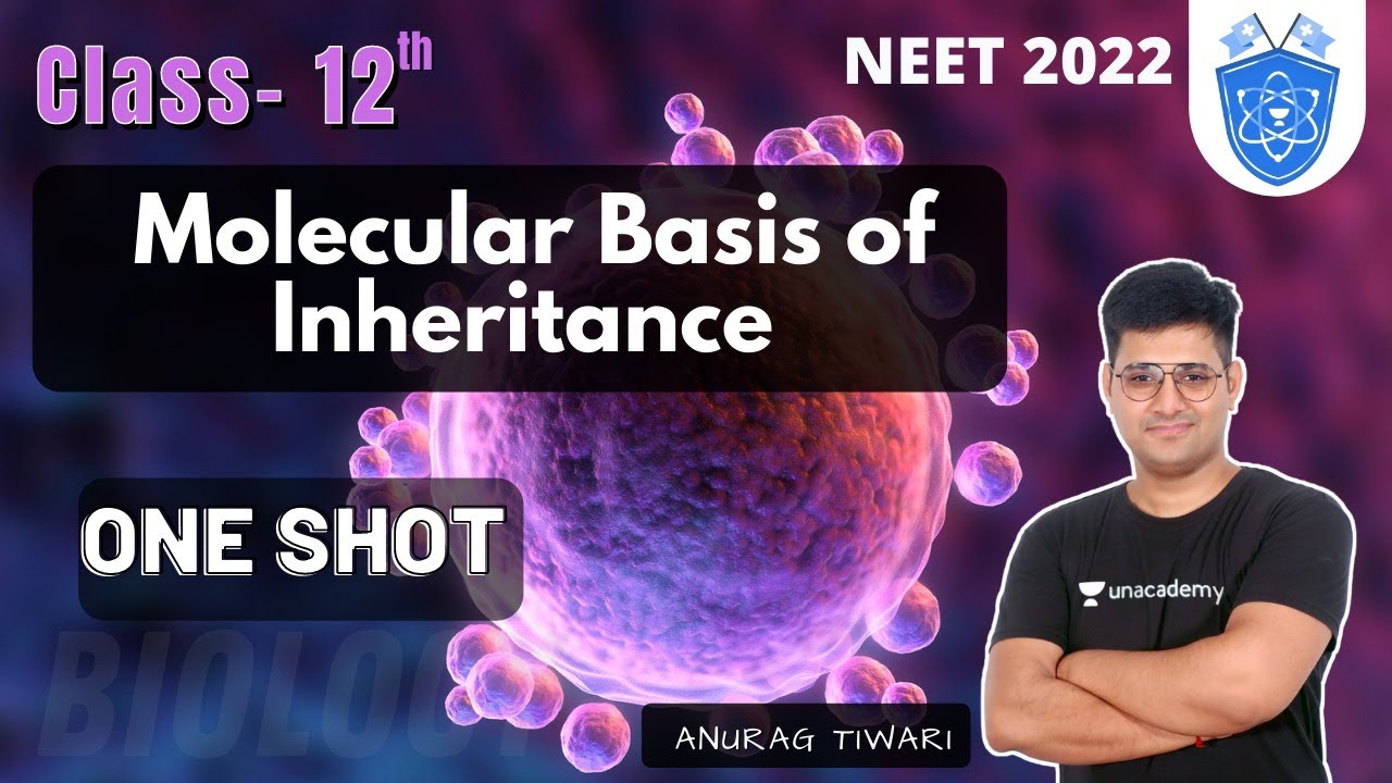 Molecular Basis of Inheritance | One Shot | Class 12 | NEET Biology ...