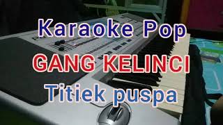 GANG KELINCI..Titiek puspa.. karaoke cover style manual korg pa50
