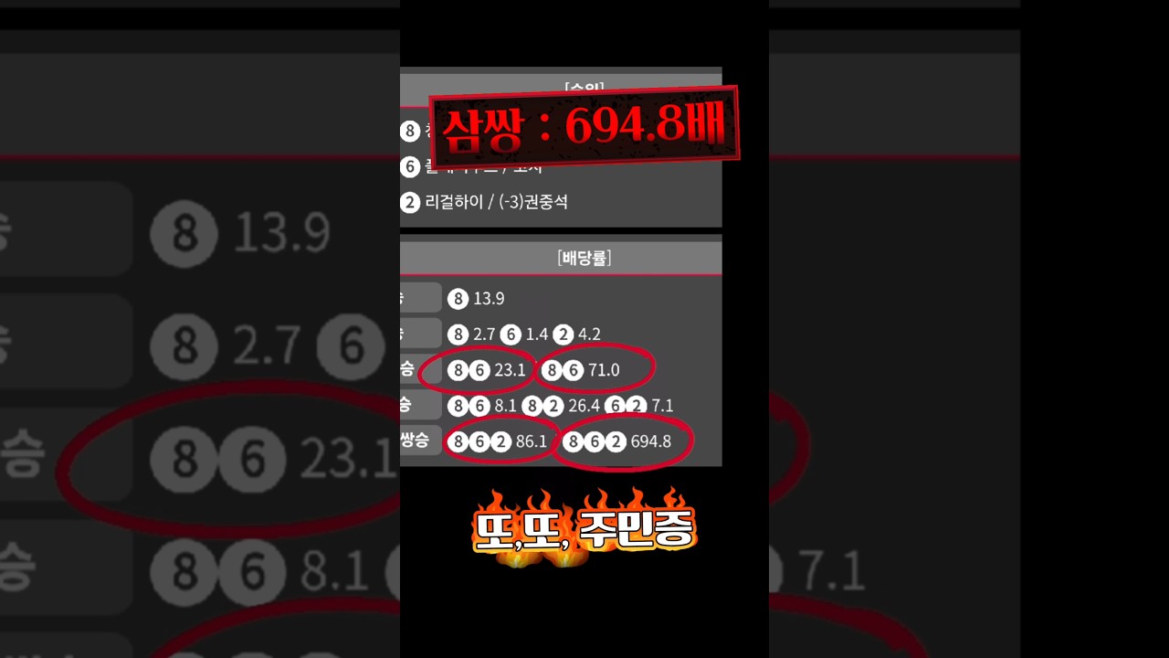 또,또, 1,2,3등 마 분석이유, 마지막 8번 청해스타 역전승한 이유 분석.