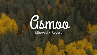 Asmoo | slowed & reverb | nasheed media |